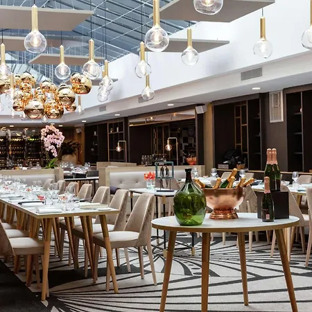 Niepce Paris, Curio Collection By Hilton