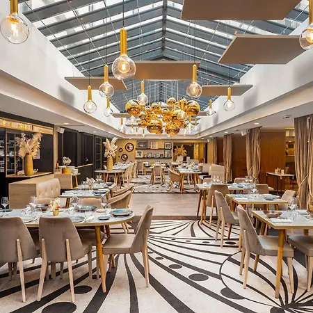 Niepce Paris, Curio Collection By Hilton